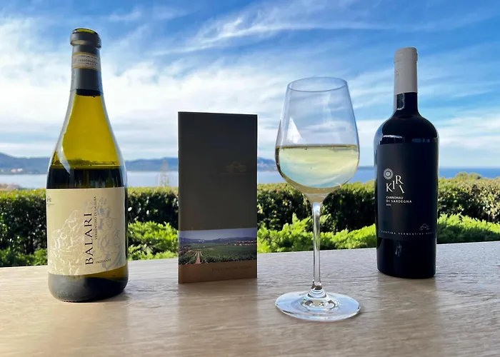 Charming & Luxurious Garibaldi Big - Fully Equipped & Renovated - Old Town Olbia